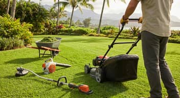Mantenimiento de Césped