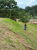 Mantenimiento de jardín 
