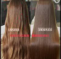 Celulas Madres Capilar