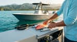 Local Reef Charter (1/2 Day)