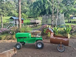 Eco granja dia de picnic