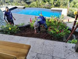 Ejecucion de Jardines.