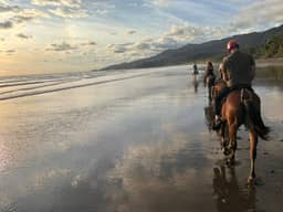 Tour Playa