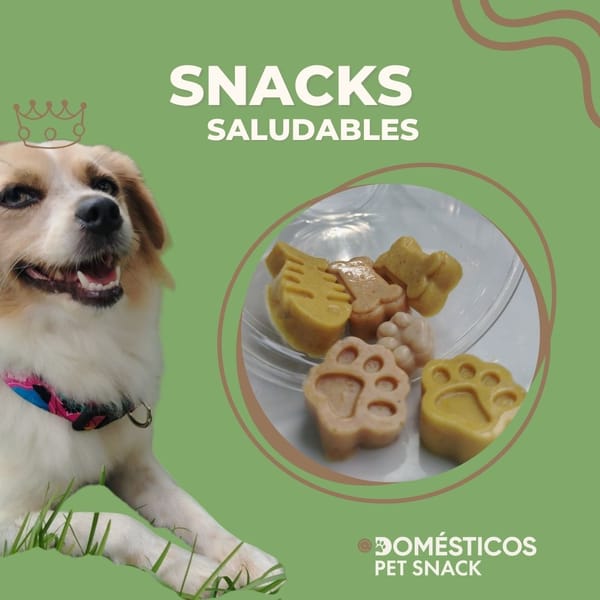 Pet Snaks Domesticos 