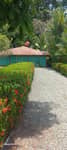 Gardening & Landscaping