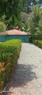 Gardening & Landscaping