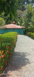 Gardening & Landscaping