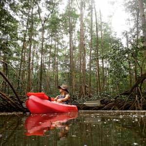 Mangroves Nature Tour by Kayak or SUP