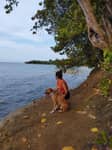 Paquete por día