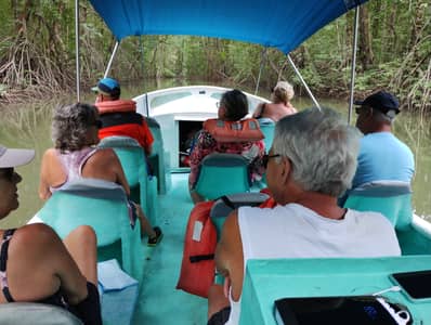 Tour de manglar en bote 