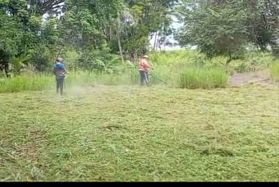 Jardinería y Paisajismo