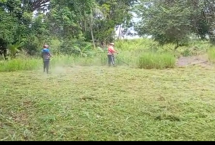 Jardinería y Paisajismo