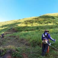 Mantenimiento de propiedades