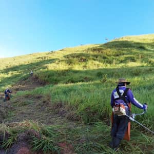 Mantenimiento de propiedades