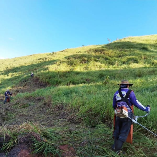 Mantenimiento de propiedades