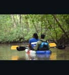 Kayak en los Humedales Térraba Sierpe