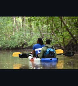 Kayak en los Humedales Térraba Sierpe