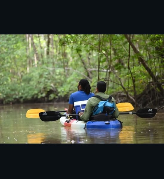 Kayak en los Humedales Térraba Sierpe