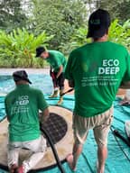 Limpieza de alfombras 