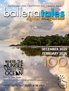 Digital Marketing - Catalogs and Magazines