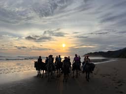 Tour Sunset