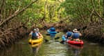Mangrove Kayak Tour / Kayak Manglar