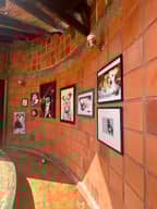 Daycare or long-term care for your pet