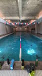     Online Swim Coaching 