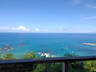 Tour a la reserva biológica Isla del caño 