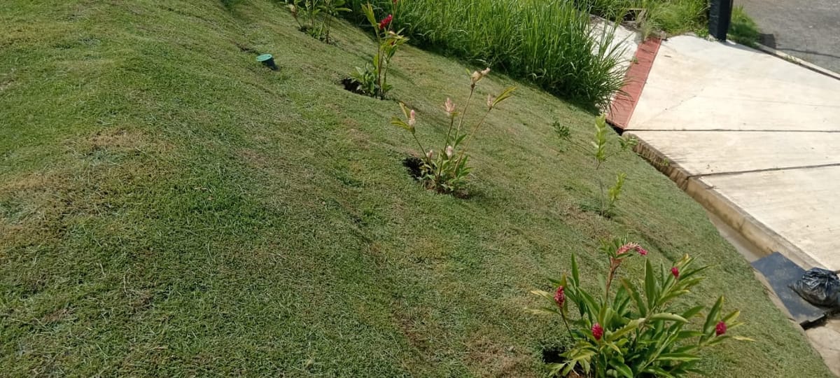 Servicio de Jardinería