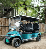 Rent Golf Cart 