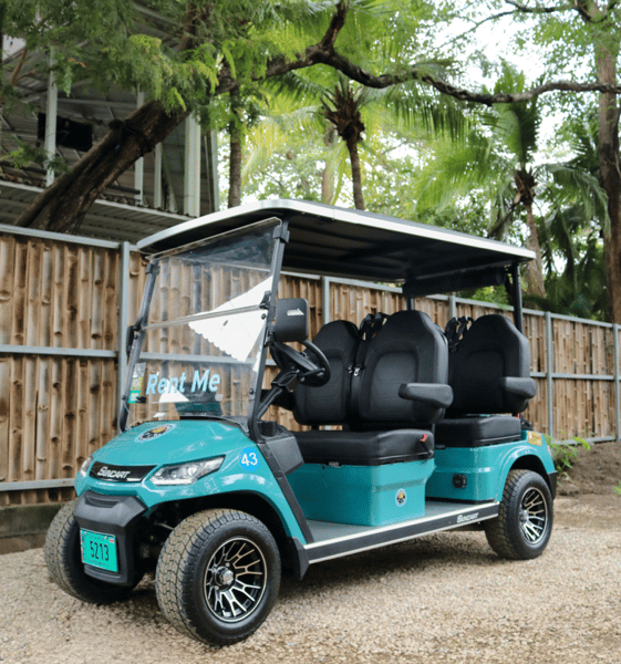 Rent Golf Cart 