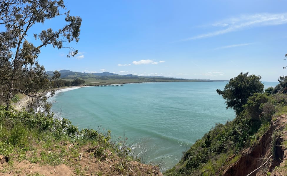 Individual Psychotherapy Sessions 