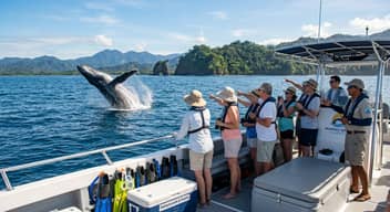 Whale and Dolphin Watching Tour