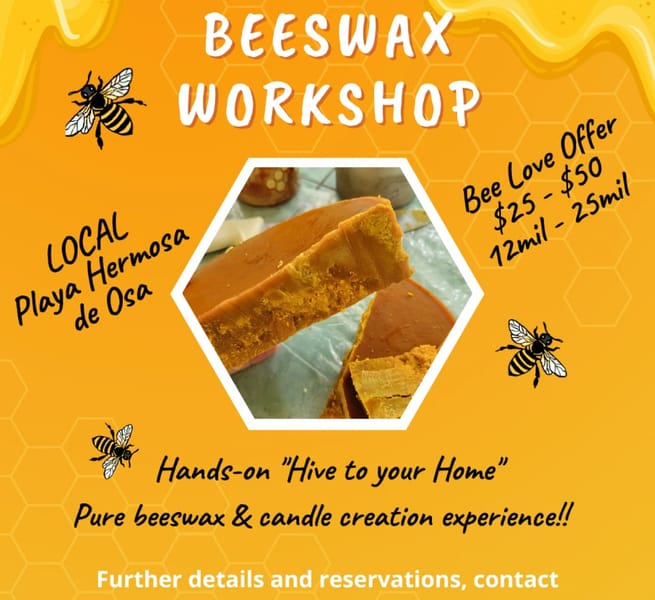 Bees wax workshop