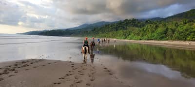 Tour Playa