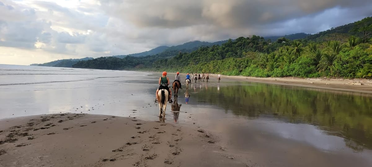 Tour Playa