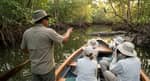 Tour de Manglar y Avistamiento