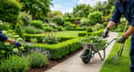 Limpieza de Jardines