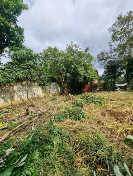 Mantenimiento de Jardínes y Sistemas de Riego