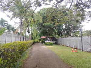 Service photo 29