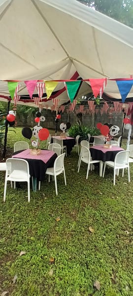 Toldo, mesas y sillas