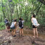 Tour Caminata Naturalista P.N. Marino Ballena