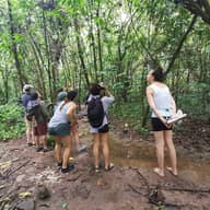 Tour Caminata Naturalista P.N. Marino Ballena