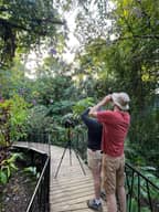 Observación de Aves Profesional