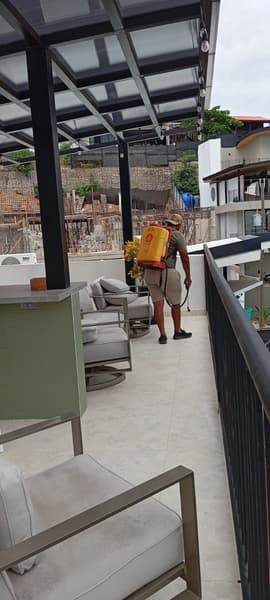 Fumigadora de Santa Cruz